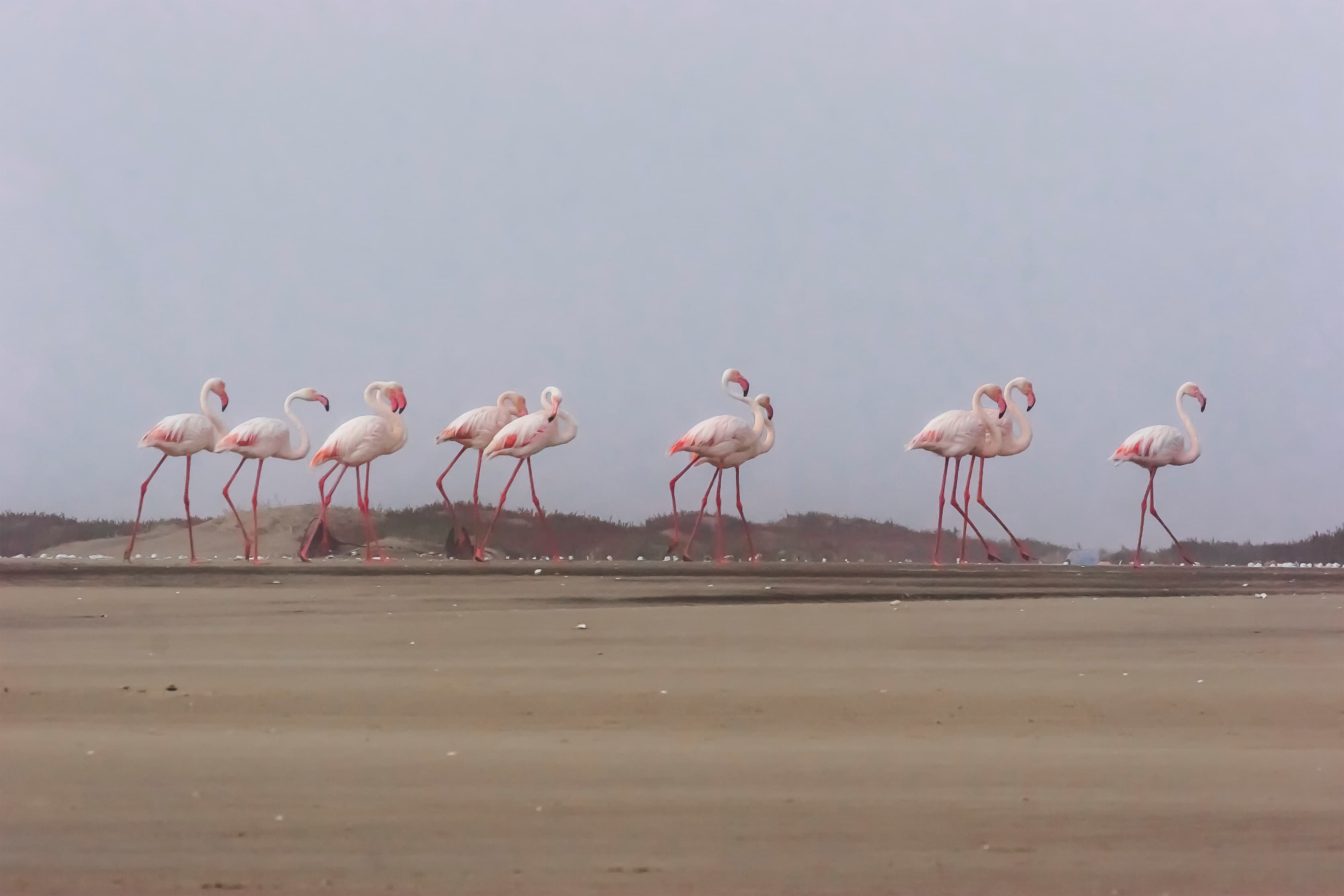 Paysage dramatique de Namibie