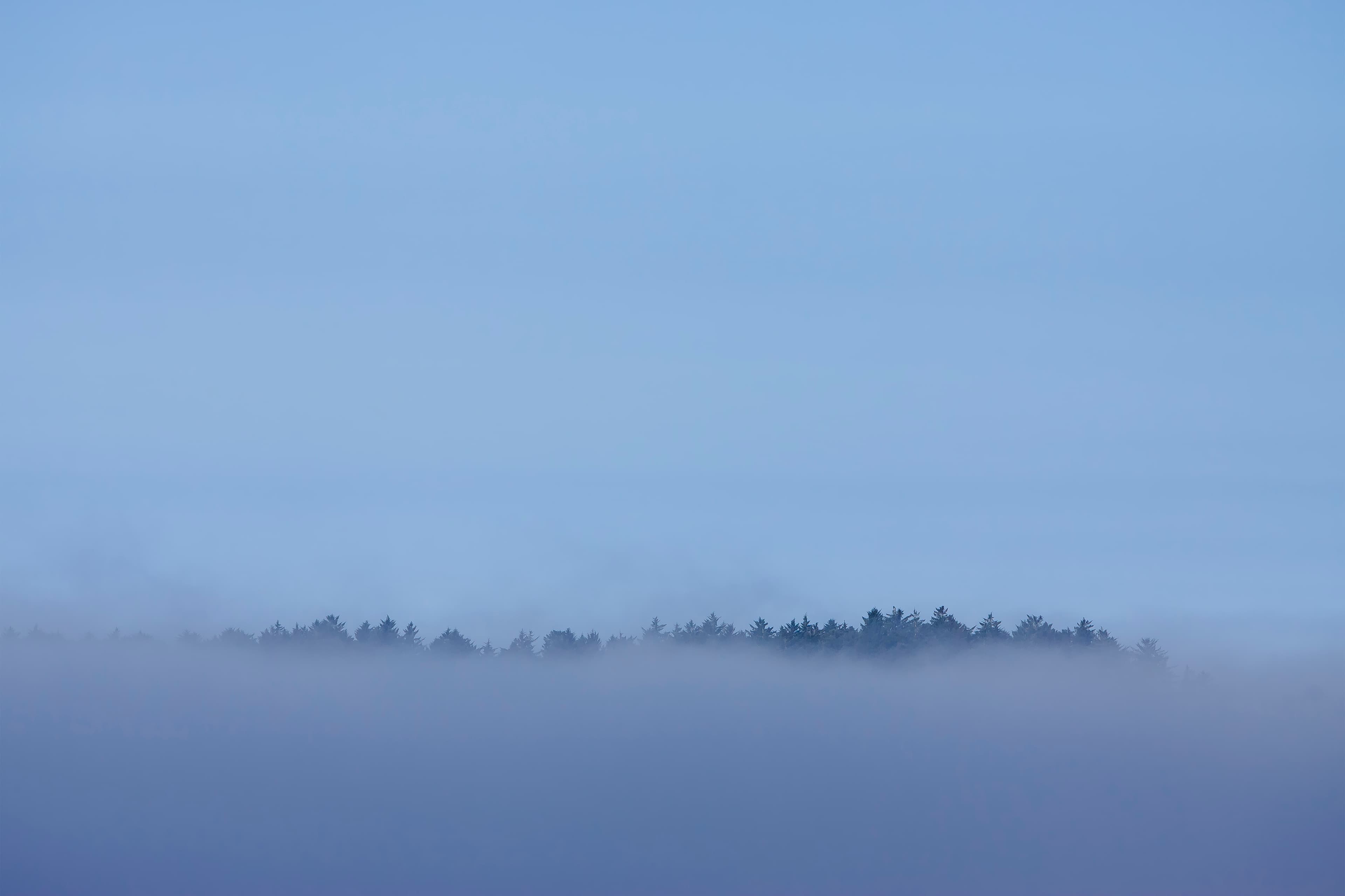 Plage brumeuse à Tofino le matin