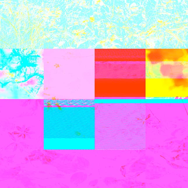 Bug - Route de St Cergue forêt panoramique variation E